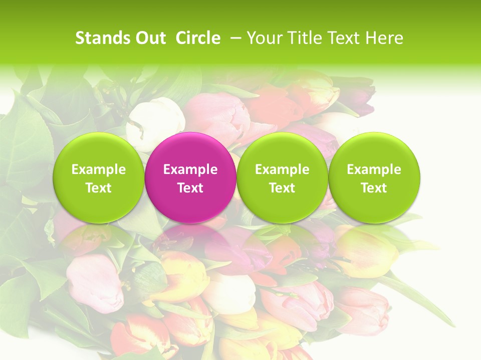 Isolated Foliage Plant PowerPoint Template