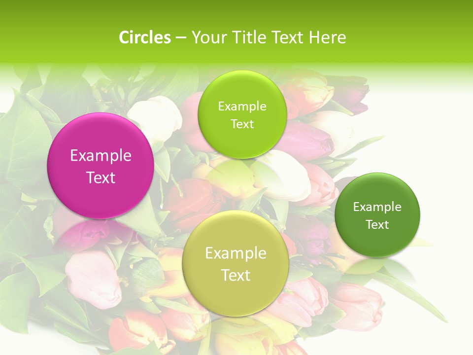 Isolated Foliage Plant PowerPoint Template