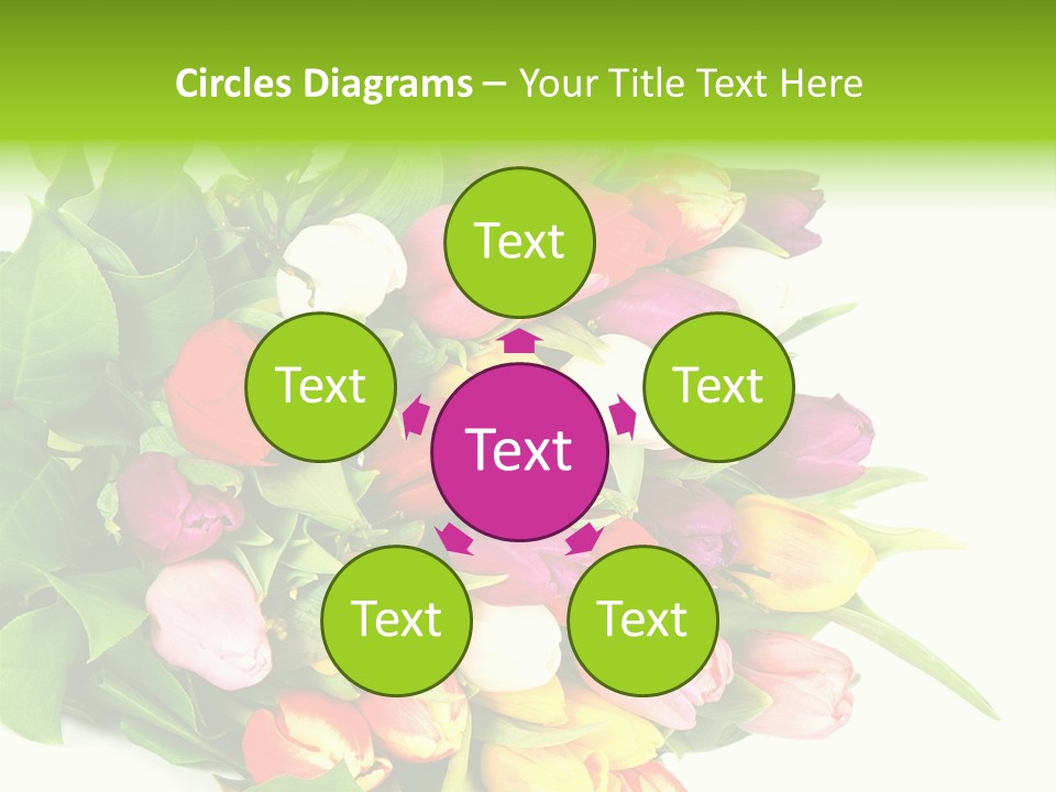 Isolated Foliage Plant PowerPoint Template