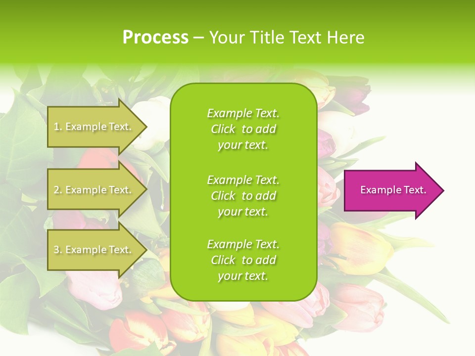Isolated Foliage Plant PowerPoint Template