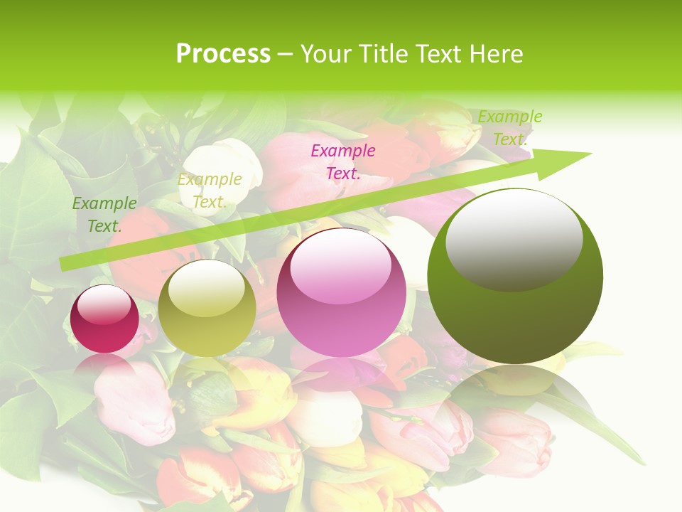 Isolated Foliage Plant PowerPoint Template