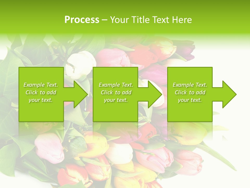 Isolated Foliage Plant PowerPoint Template