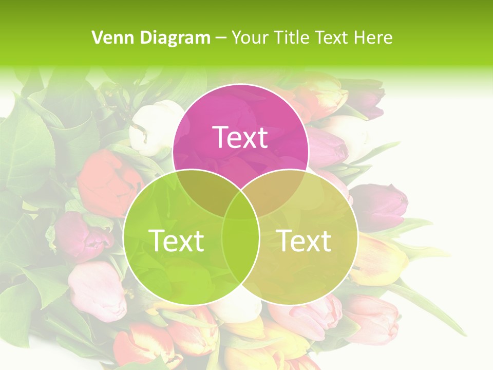 Isolated Foliage Plant PowerPoint Template