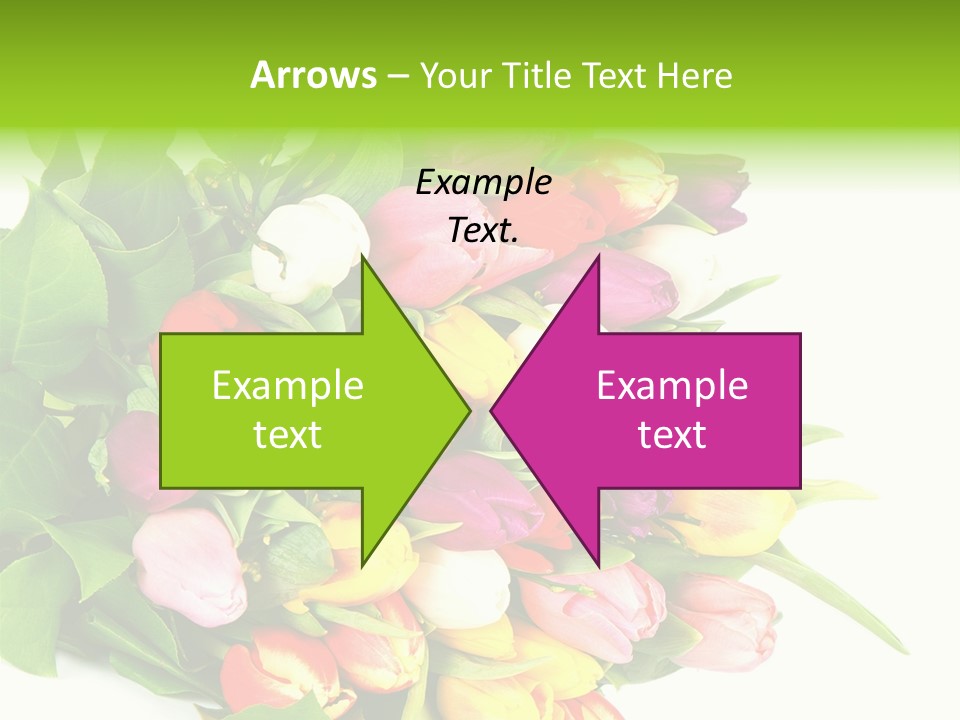 Isolated Foliage Plant PowerPoint Template