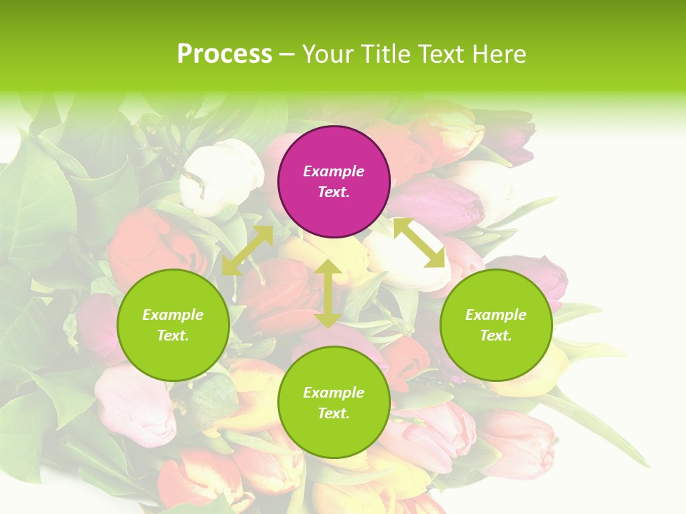 Isolated Foliage Plant PowerPoint Template