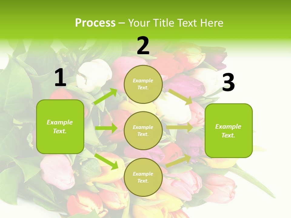 Isolated Foliage Plant PowerPoint Template
