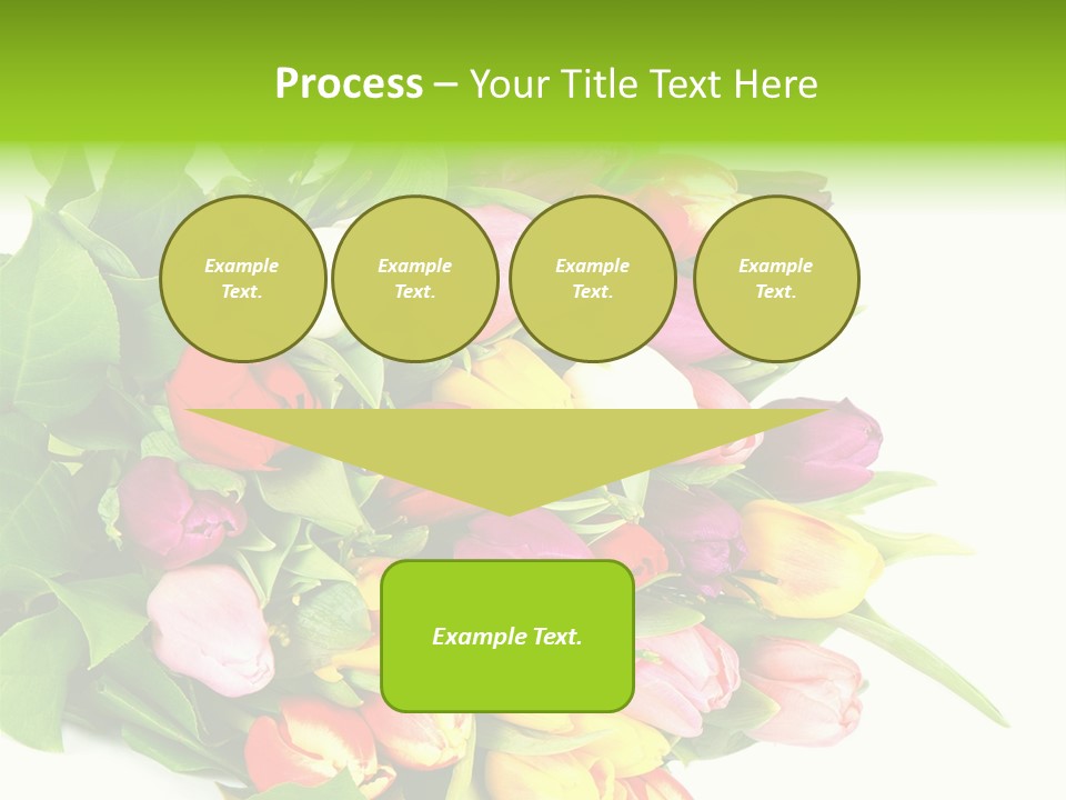 Isolated Foliage Plant PowerPoint Template