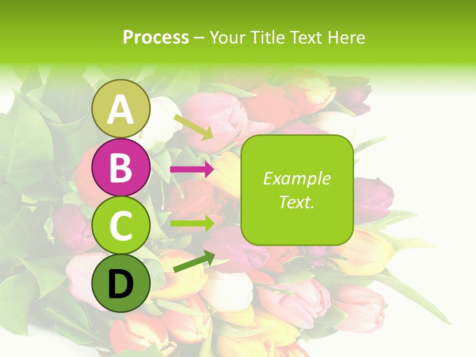 Isolated Foliage Plant PowerPoint Template
