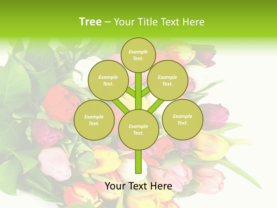 Isolated Foliage Plant PowerPoint Template