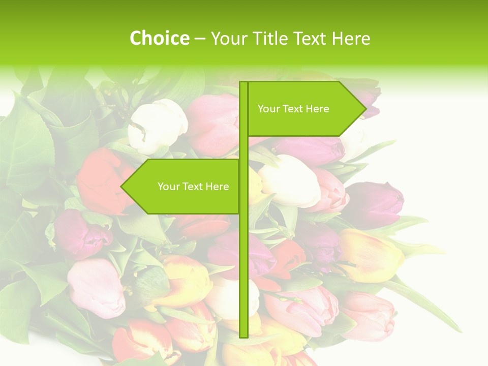 Isolated Foliage Plant PowerPoint Template