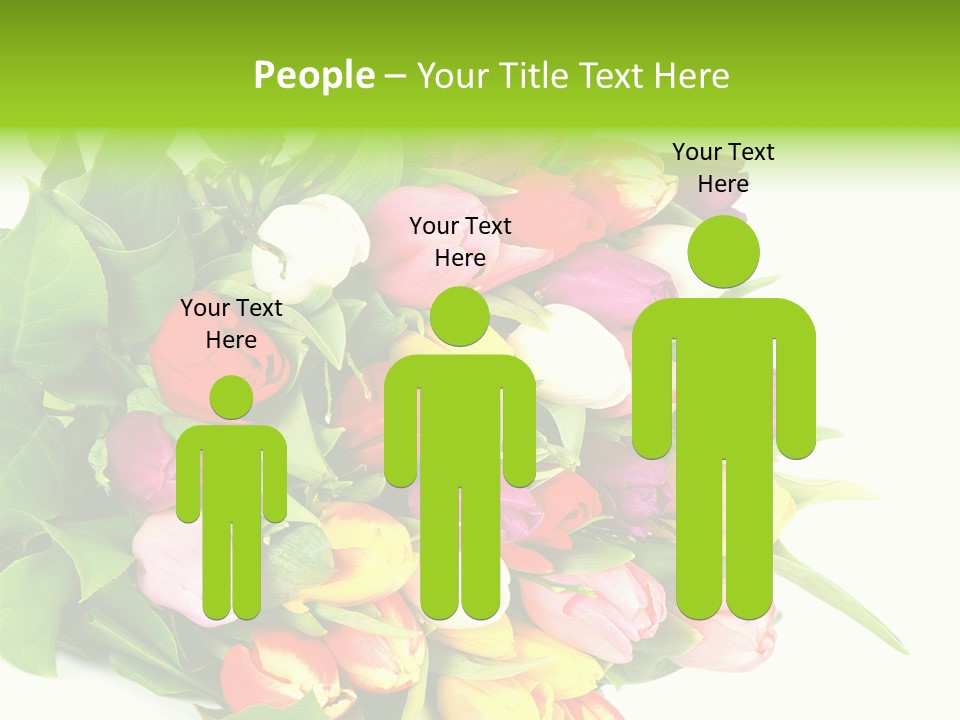 Isolated Foliage Plant PowerPoint Template