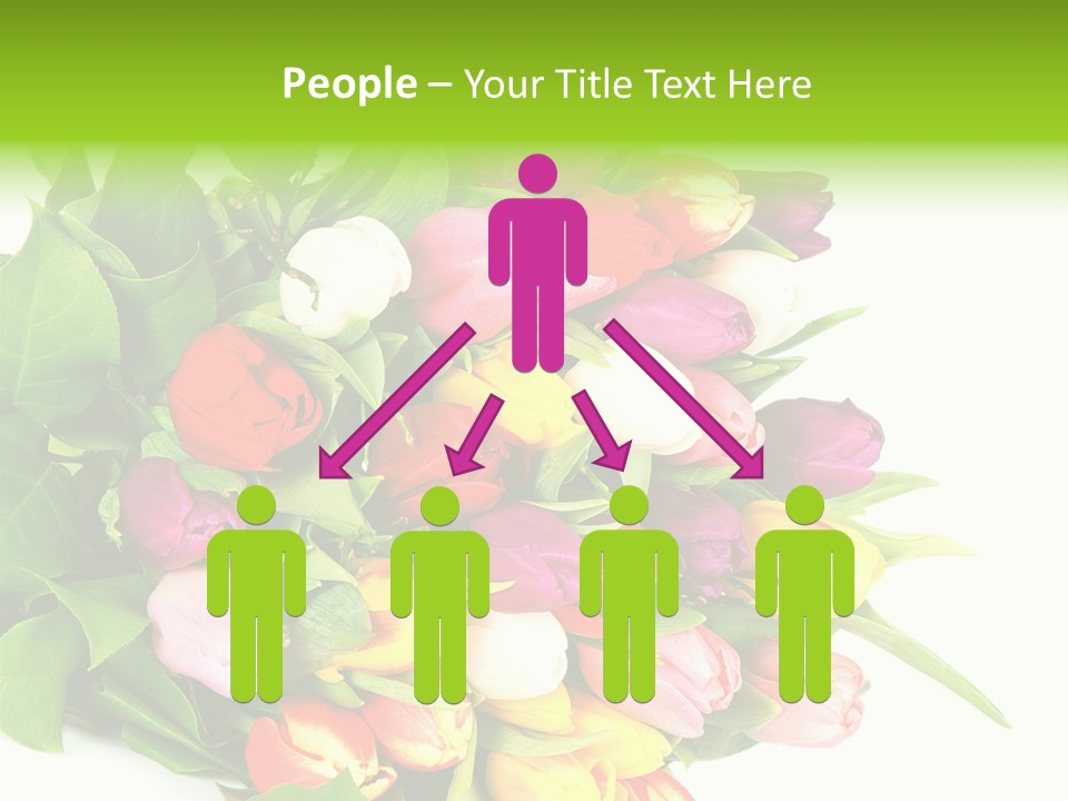 Isolated Foliage Plant PowerPoint Template