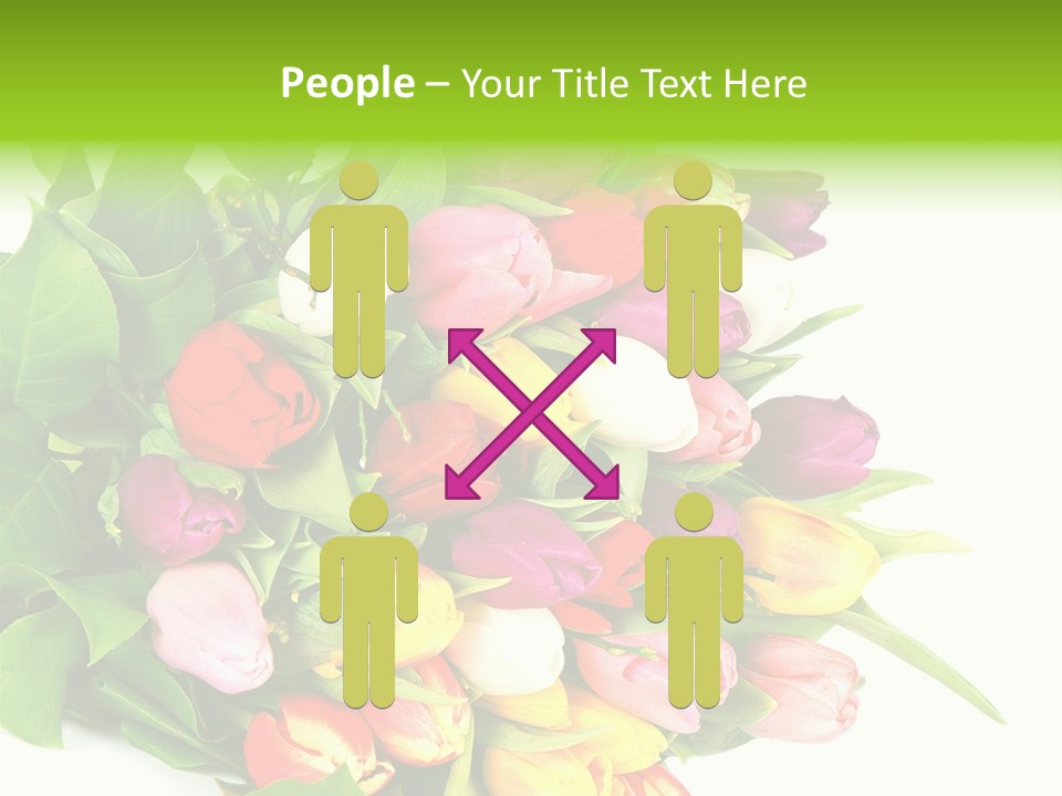 Isolated Foliage Plant PowerPoint Template