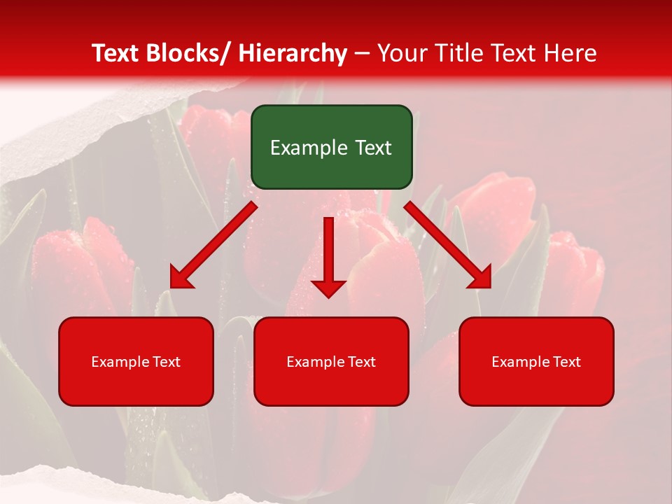 Team Meeting Happy PowerPoint Template