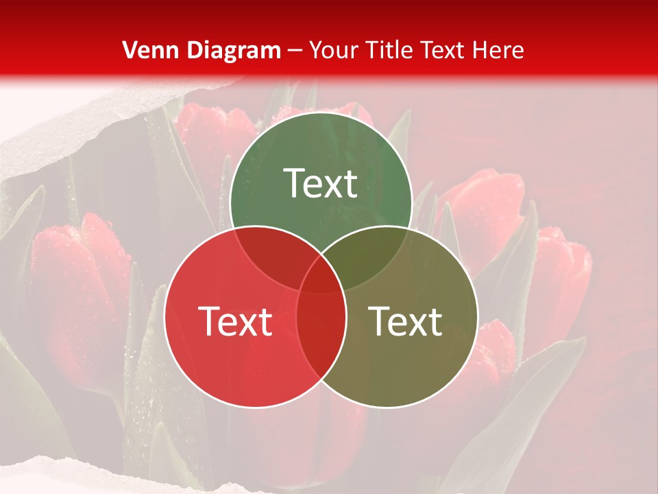 Team Meeting Happy PowerPoint Template