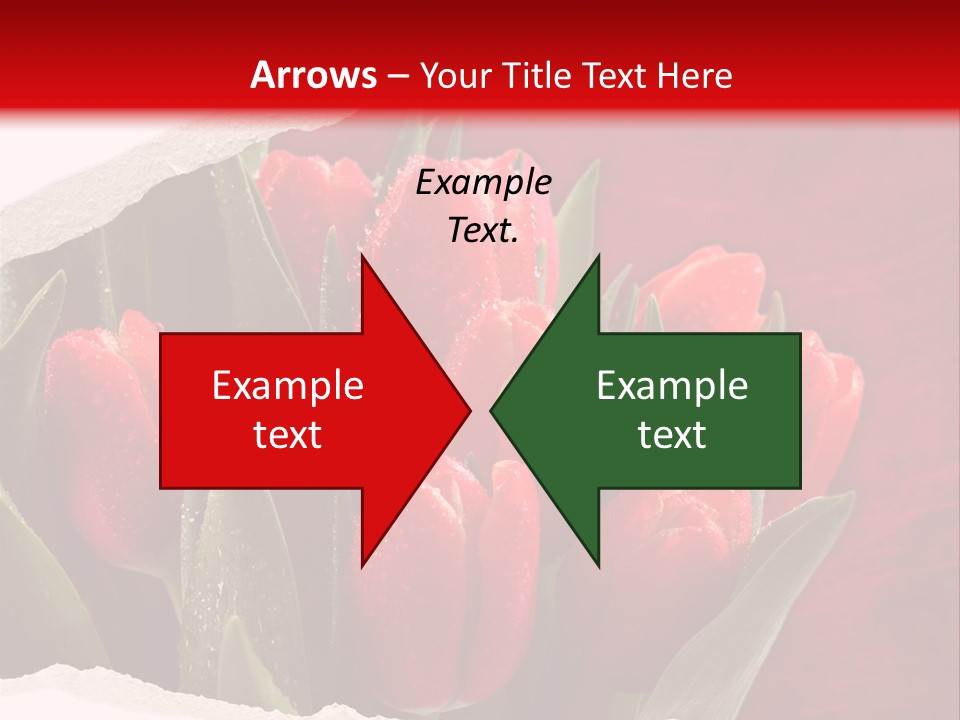 Team Meeting Happy PowerPoint Template