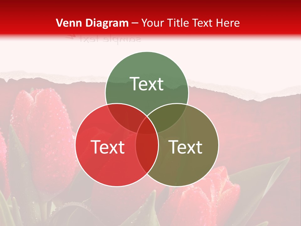 Bu Ine Boardroom Trategy PowerPoint Template