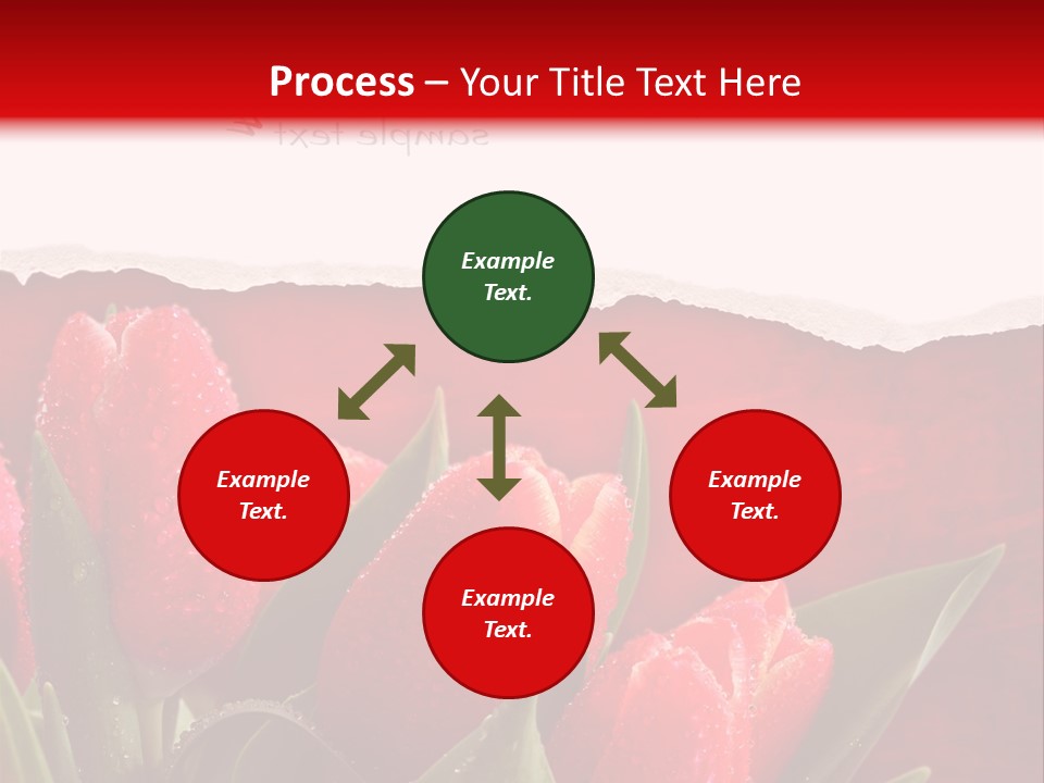 Bu Ine Boardroom Trategy PowerPoint Template