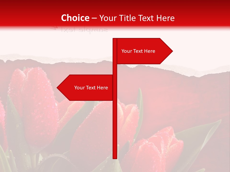 Bu Ine Boardroom Trategy PowerPoint Template