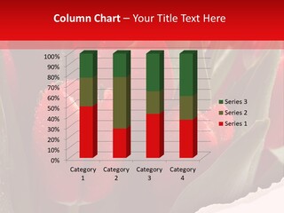 Teamwork Trategy Bu Ine PowerPoint Template