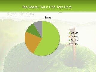 Office Group Figure PowerPoint Template