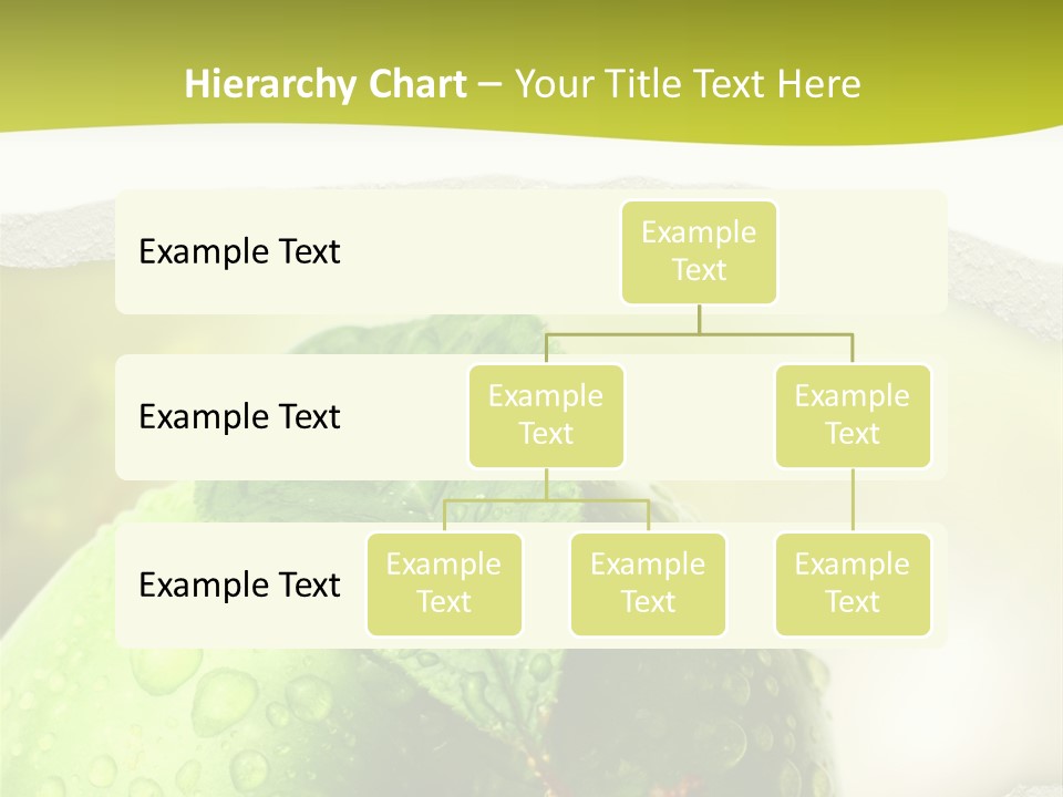 People Toon Meeting PowerPoint Template