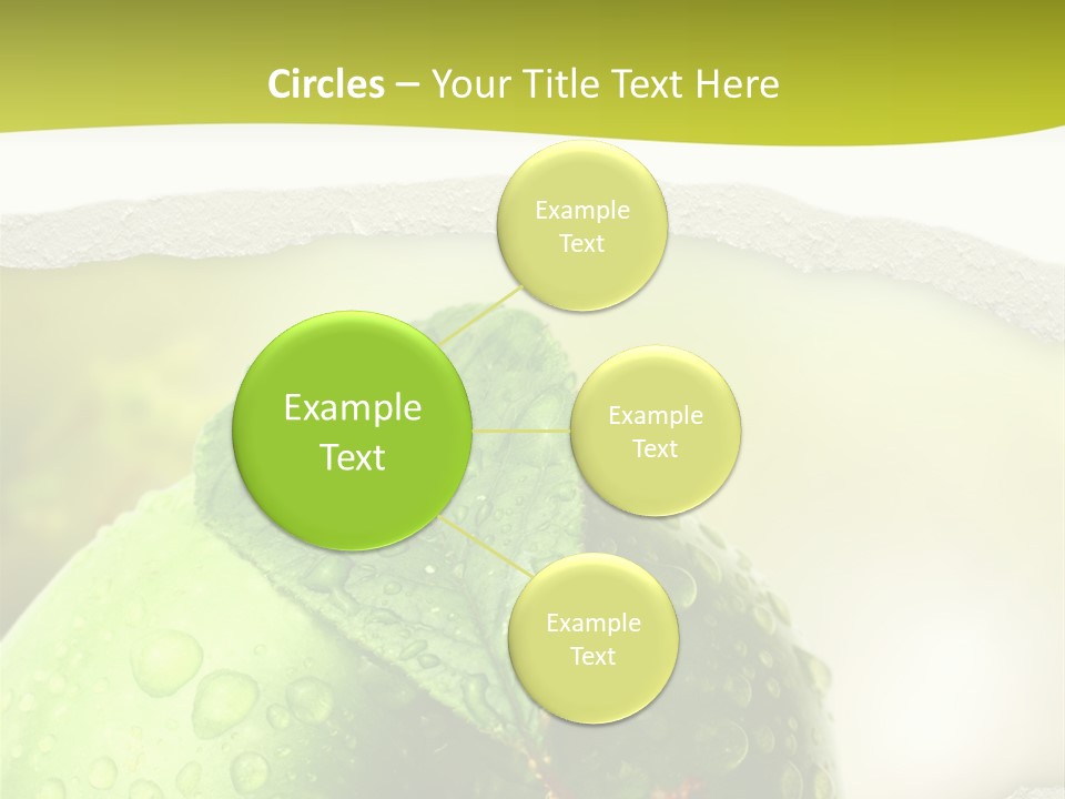 People Toon Meeting PowerPoint Template