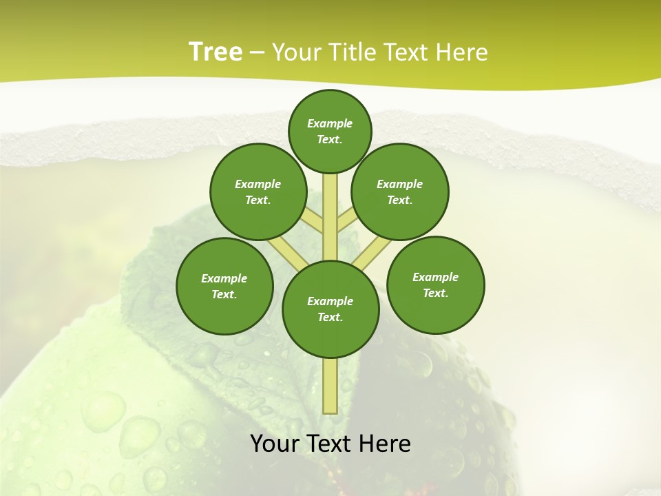 People Toon Meeting PowerPoint Template