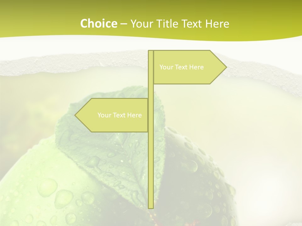 People Toon Meeting PowerPoint Template