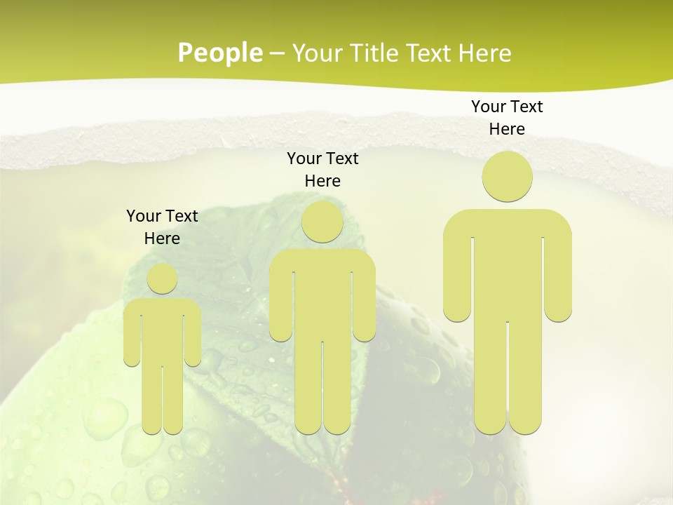 People Toon Meeting PowerPoint Template