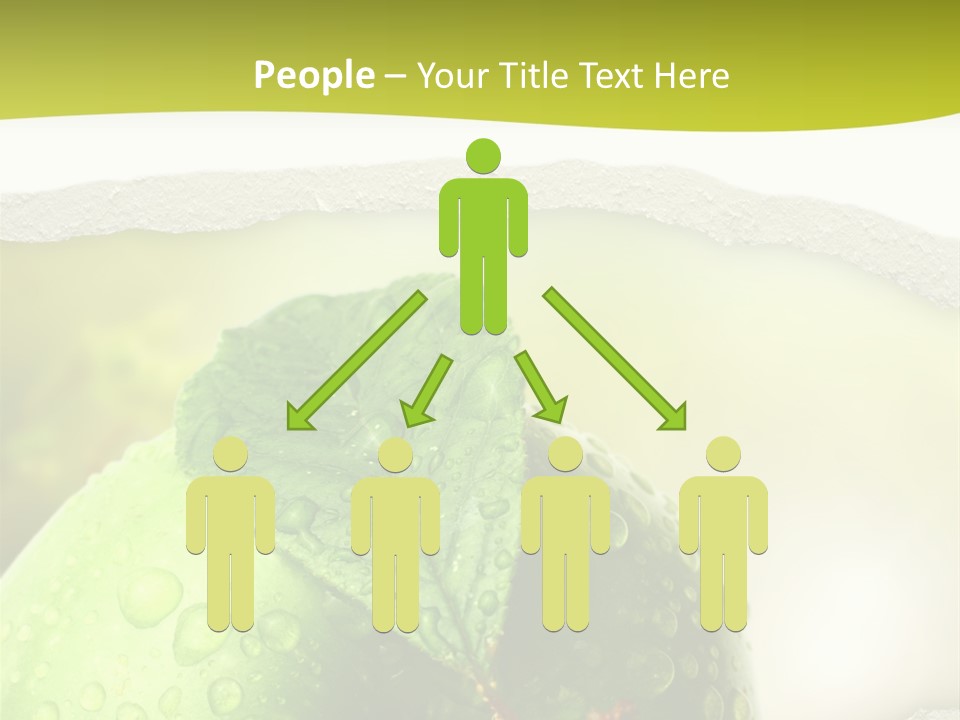 People Toon Meeting PowerPoint Template