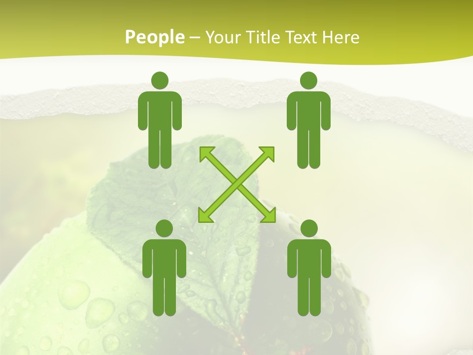 People Toon Meeting PowerPoint Template