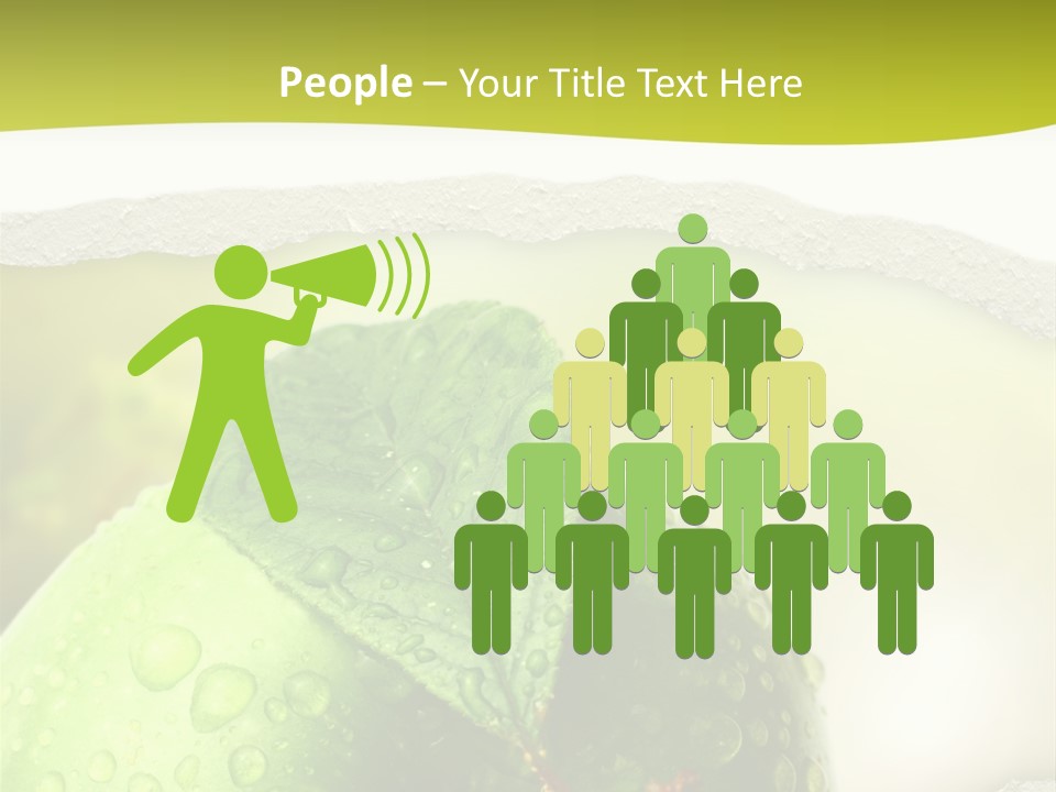 People Toon Meeting PowerPoint Template