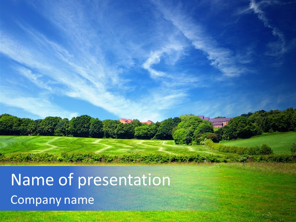 Plain Wood Grassland PowerPoint Template