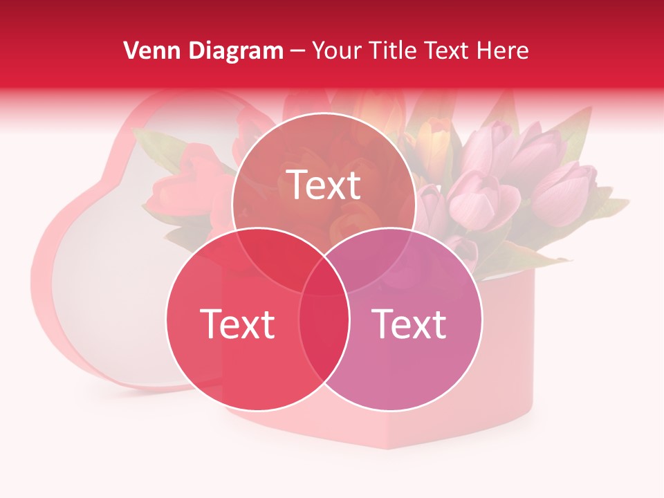 Paper Giftbox Beautiful PowerPoint Template