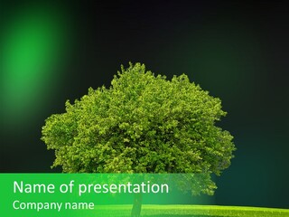 Country Hill Front PowerPoint Template