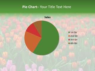 Weather Environment Pasture PowerPoint Template