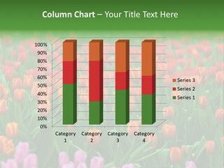 Weather Environment Pasture PowerPoint Template