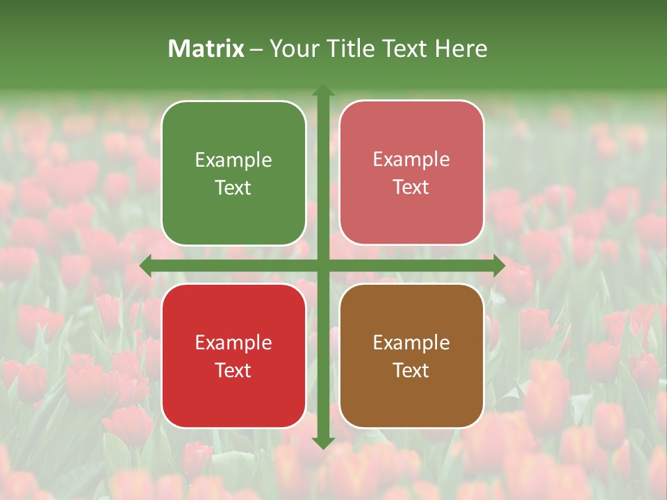 Floral Chiangrai Rural PowerPoint Template