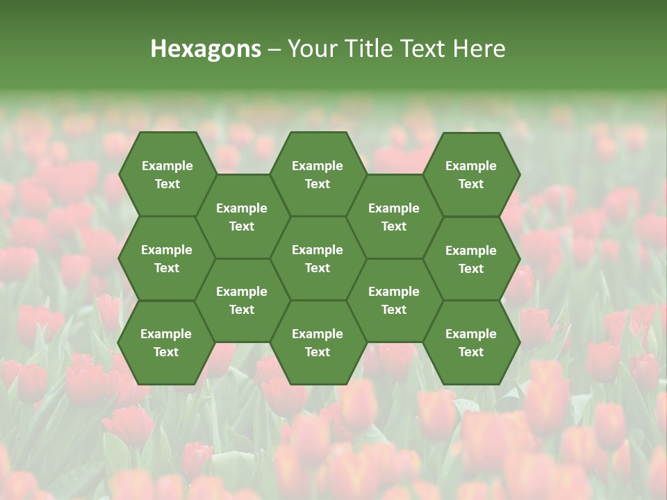 Floral Chiangrai Rural PowerPoint Template