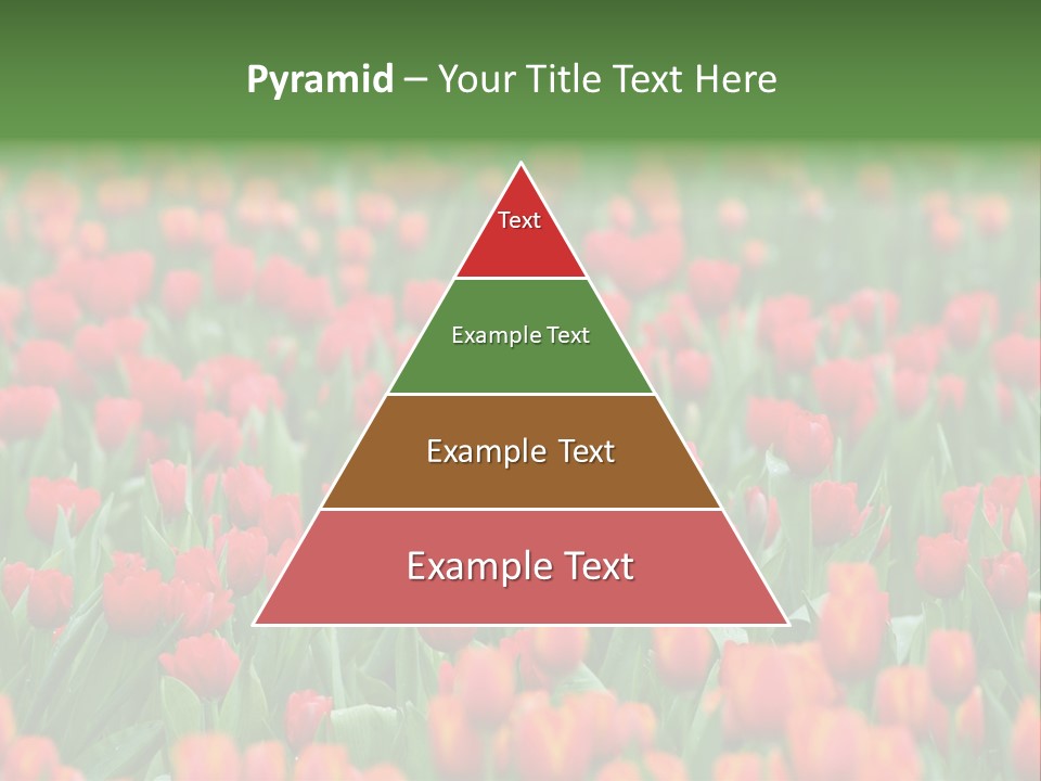 Floral Chiangrai Rural PowerPoint Template