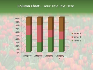 Floral Chiangrai Rural PowerPoint Template