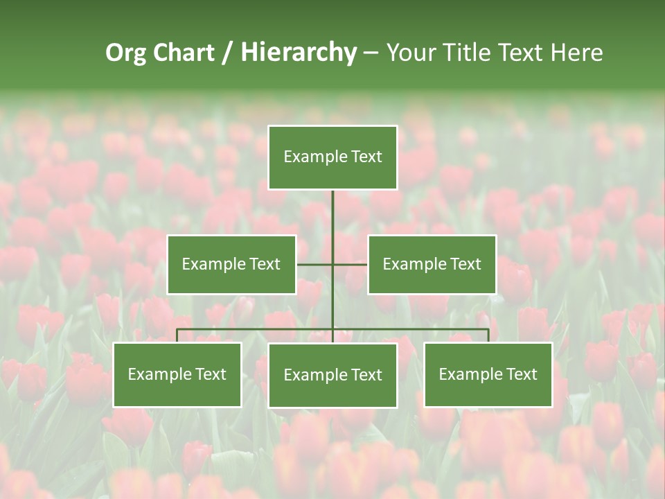 Floral Chiangrai Rural PowerPoint Template