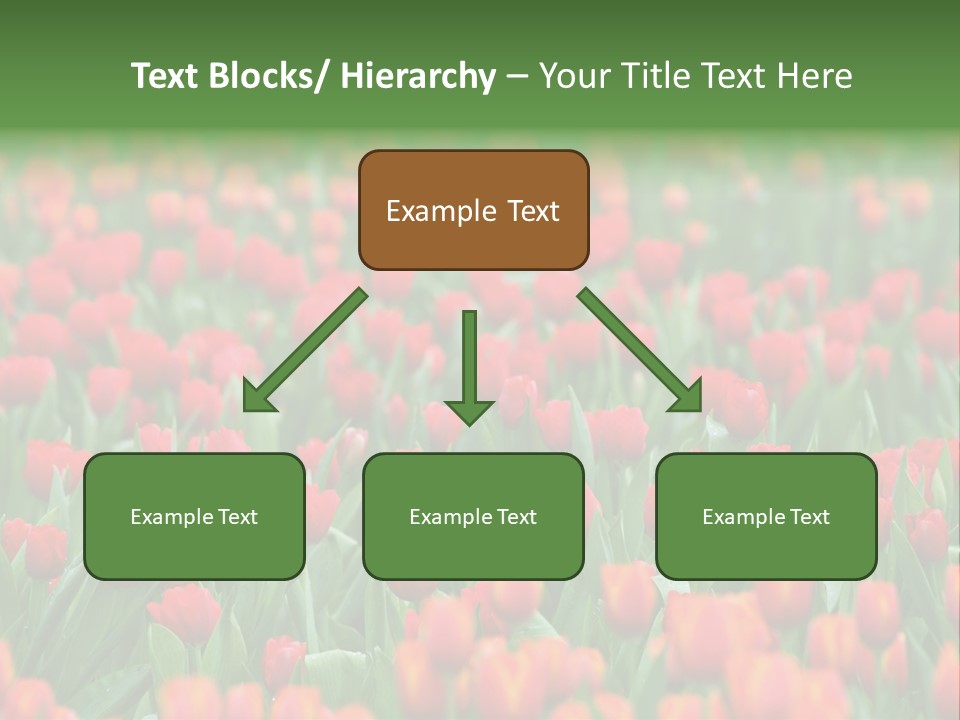 Floral Chiangrai Rural PowerPoint Template