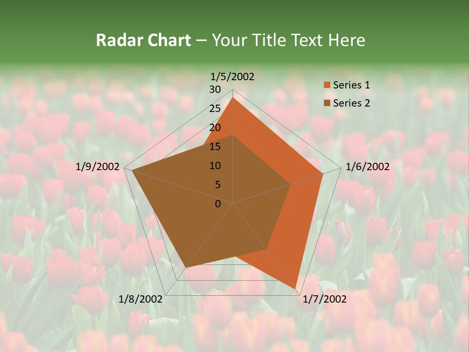 Floral Chiangrai Rural PowerPoint Template