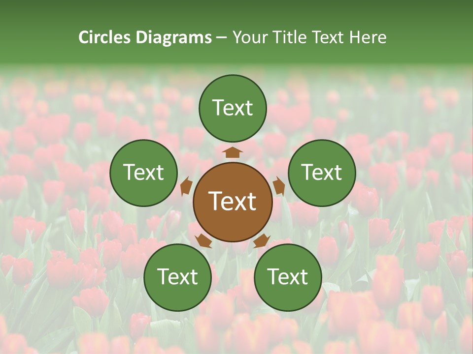 Floral Chiangrai Rural PowerPoint Template