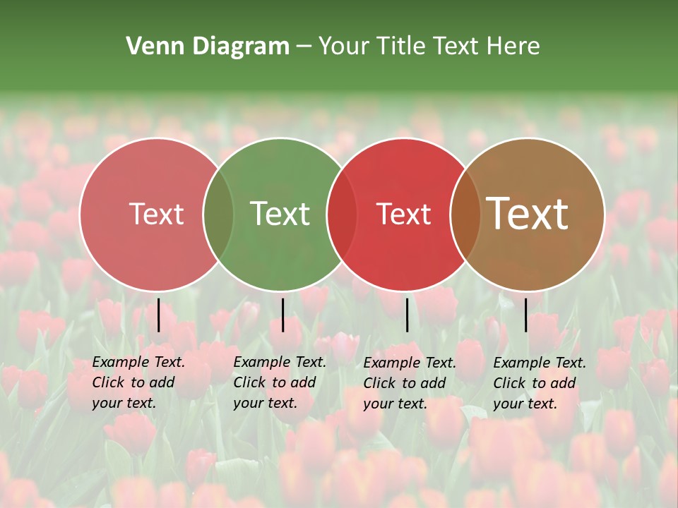 Floral Chiangrai Rural PowerPoint Template