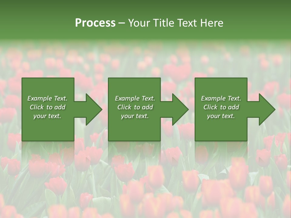 Floral Chiangrai Rural PowerPoint Template