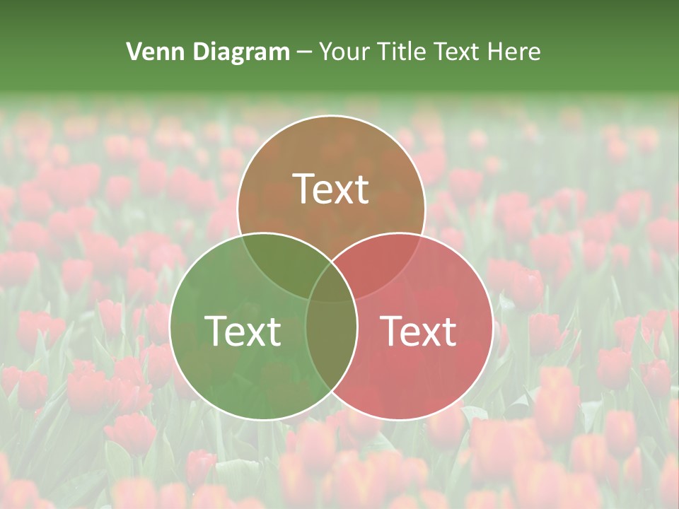 Floral Chiangrai Rural PowerPoint Template