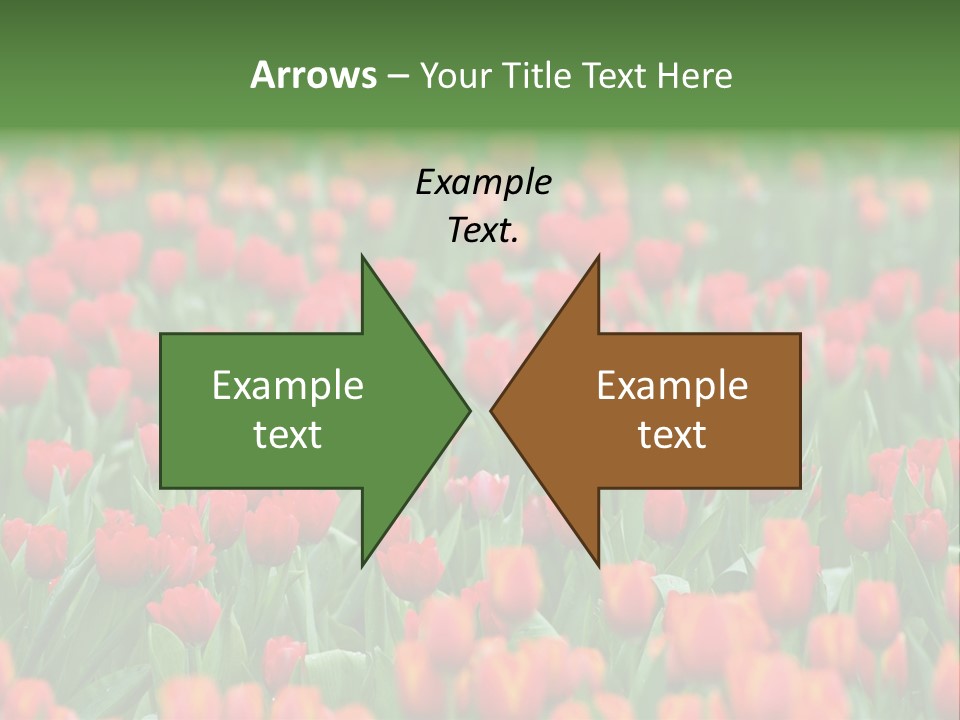 Floral Chiangrai Rural PowerPoint Template